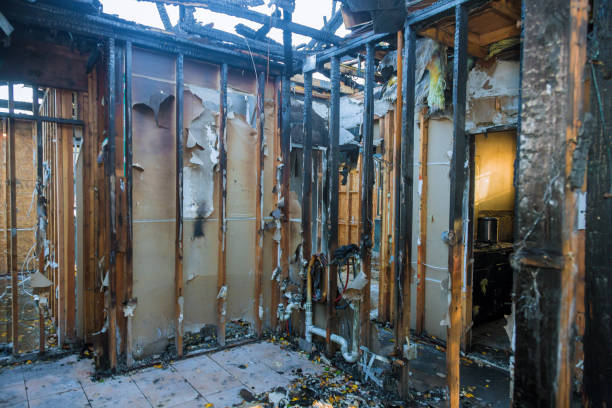 Professional Fire Damage Removal technician working in Falkville, AL